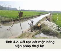 Bài 4 Sử Dụng Cải Tạo Và Bảo Vệ Đất Trồng Lớp 10