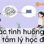 Các Câu Hỏi Về Tâm Lý Học Đường