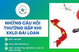 Câu Hỏi Phỏng Vấn Xuất Khẩu Lao Động