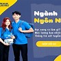 Học Ngôn Ngữ Anh Sau Này Làm Nghề Gì