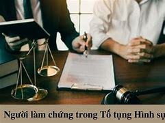 Tố Tụng Có Nghĩa Là Gì