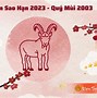 Tử Vi Tuổi Quý Mùi 1943 Năm 2023 Nam Mạng