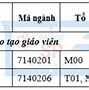 Văn Bằng 2 Tâm Lý Học Đại Học Sư Phạm Tphcm 2024 Điểm Chuẩn